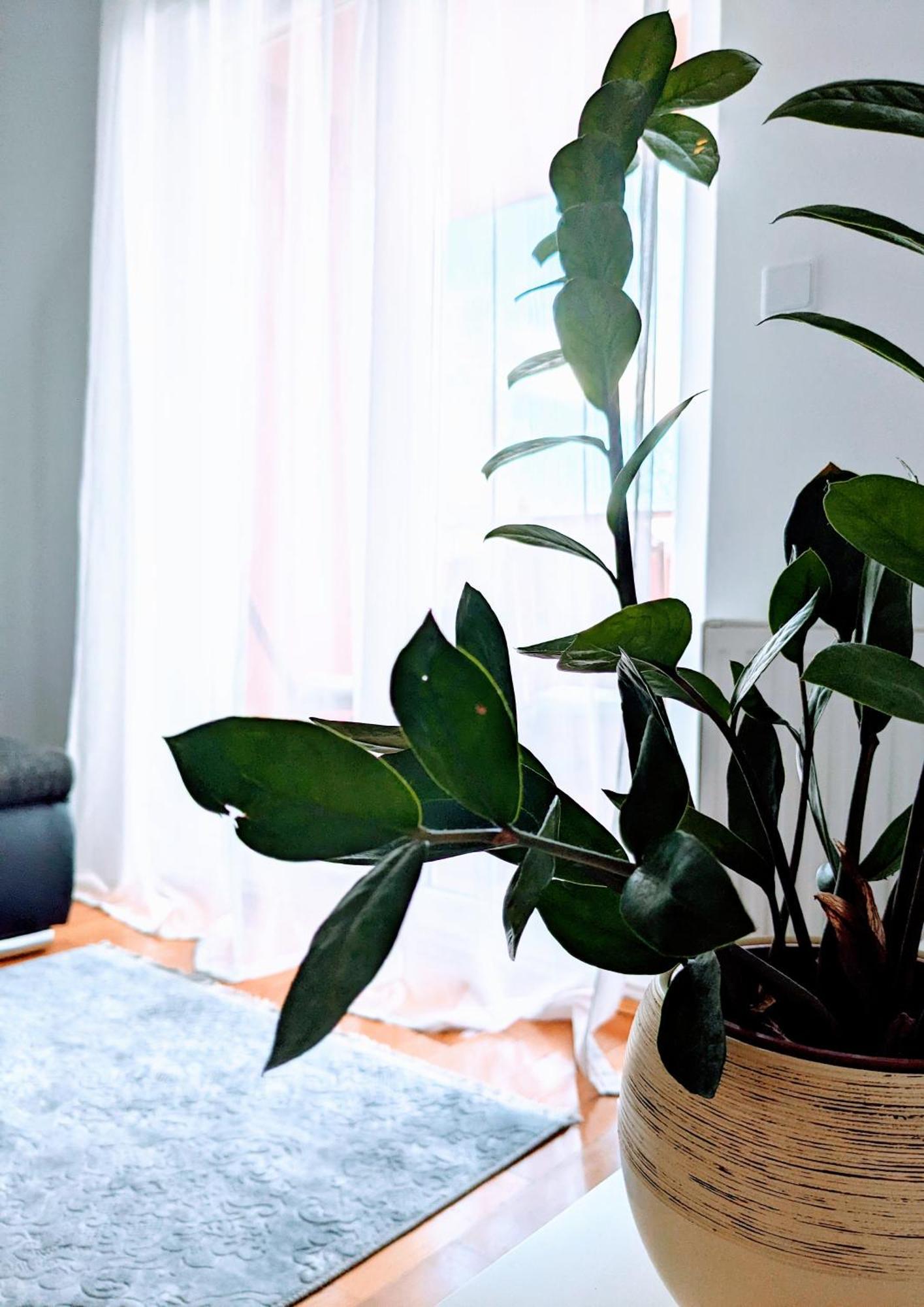 Doma-Lu Apartment-Near Airport And Highway- Free Parking Velika Mlaka Exterior photo